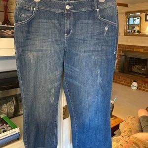 Lane Bryant Crop Jeans - Distressed - Size 20